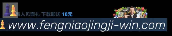蜂鸟竞技荣誉